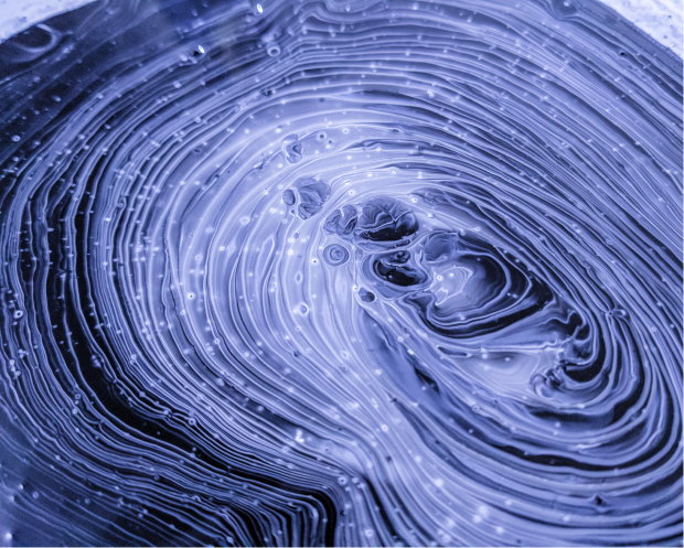 Accelerator DAO